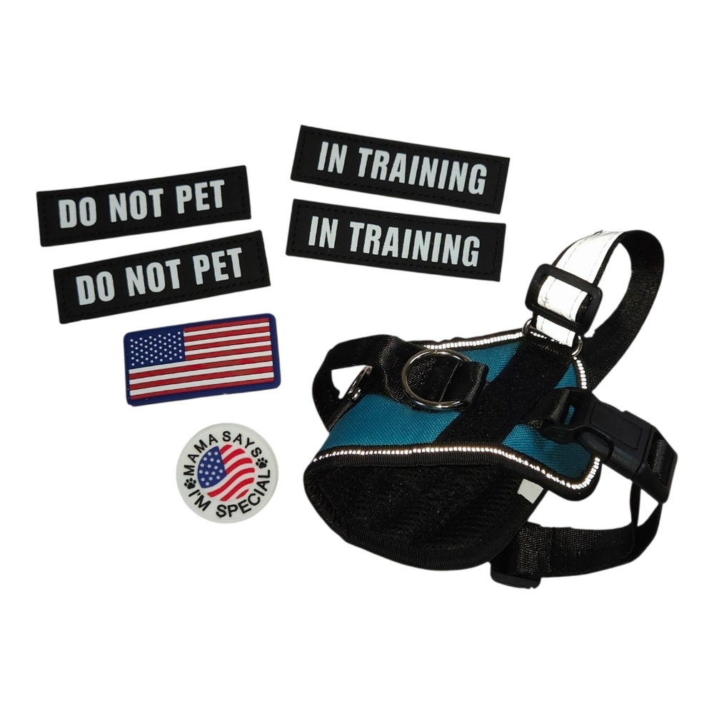 Teal and Black Dog Harness with Patches XS ESA